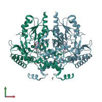 PDB entry 1xey coloured by chain, front view.