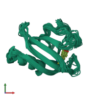 PDB entry 1xfn coloured by chain, ensemble of 20 models, front view.