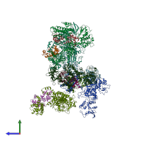 PDB entry 1xfu coloured by chain, side view.