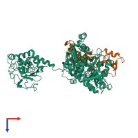 Hetero dimeric assembly 3 of PDB entry 1xfw coloured by chemically distinct molecules, top view.