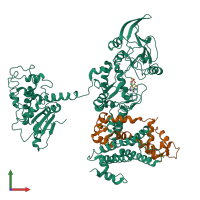 Hetero dimeric assembly 5 of PDB entry 1xfw coloured by chemically distinct molecules, front view.