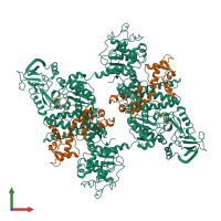 Hetero tetrameric assembly 8 of PDB entry 1xfw coloured by chemically distinct molecules, front view.