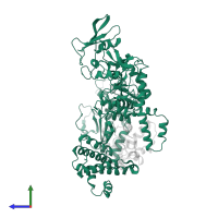 Calmodulin-sensitive adenylate cyclase in PDB entry 1xfw, assembly 1, side view.