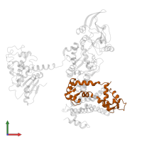 Calmodulin-1 in PDB entry 1xfw, assembly 1, front view.