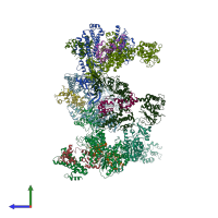 PDB entry 1xfz coloured by chain, side view.