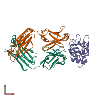 PDB entry 1xgr coloured by chain, front view.