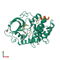 3D model of 1xh4 from PDBe