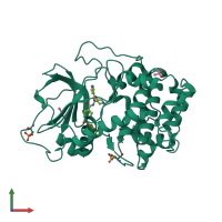 Monomeric assembly 1 of PDB entry 1xh5 coloured by chemically distinct molecules, front view.