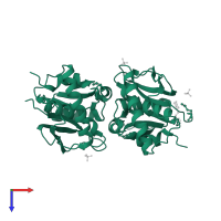 Archaeal Lon protease in PDB entry 1xhk, assembly 1, top view.