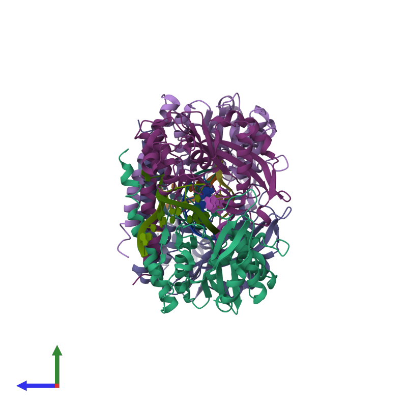 <div class='caption-body'><ul class ='image_legend_ul'>The deposited structure of PDB entry 1xhu coloured by chain and viewed from the side. The entry contains: <li class ='image_legend_li'>4 copies of 5'-D(*GP*CP*CP*GP*GP*TP*C)-3'</li> <li class ='image_legend_li'>4 copies of 5'-D(P*GP*AP*CP*CP*GP*G)-3'</li> <li class ='image_legend_li'>4 copies of Type II restriction enzyme HincII</li><li class ='image_legend_li'>[]</li></ul></li></ul></li></div>