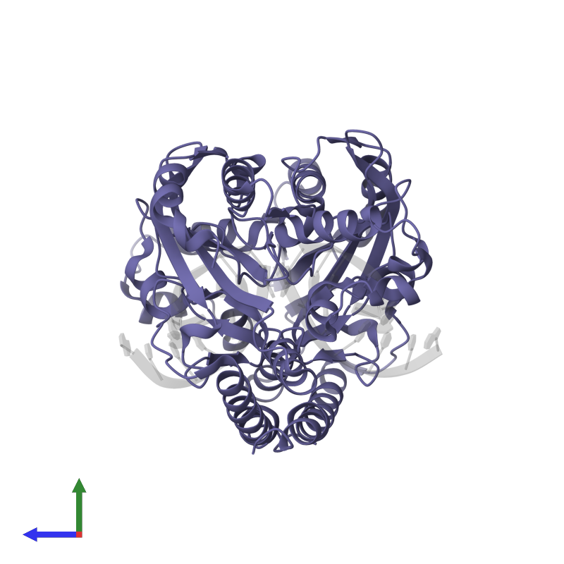 <div class='caption-body'>PDB entry 1xhu contains 2 copies of Type II restriction enzyme HincII in assembly 1. This protein is highlighted and viewed from the side.</div>