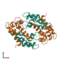 Hetero tetrameric assembly 2 of PDB entry 1xk4 coloured by chemically distinct molecules, front view.
