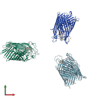 PDB entry 1xkh coloured by chain, front view.