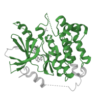 The deposited structure of PDB entry 1xkk contains 1 copy of Pfam domain PF07714 (Protein tyrosine and serine/threonine kinase) in Epidermal growth factor receptor. Showing 1 copy in chain A.