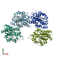PDB entry 1xkl coloured by chain, front view.