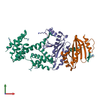 PDB entry 1xkp coloured by chain, front view.