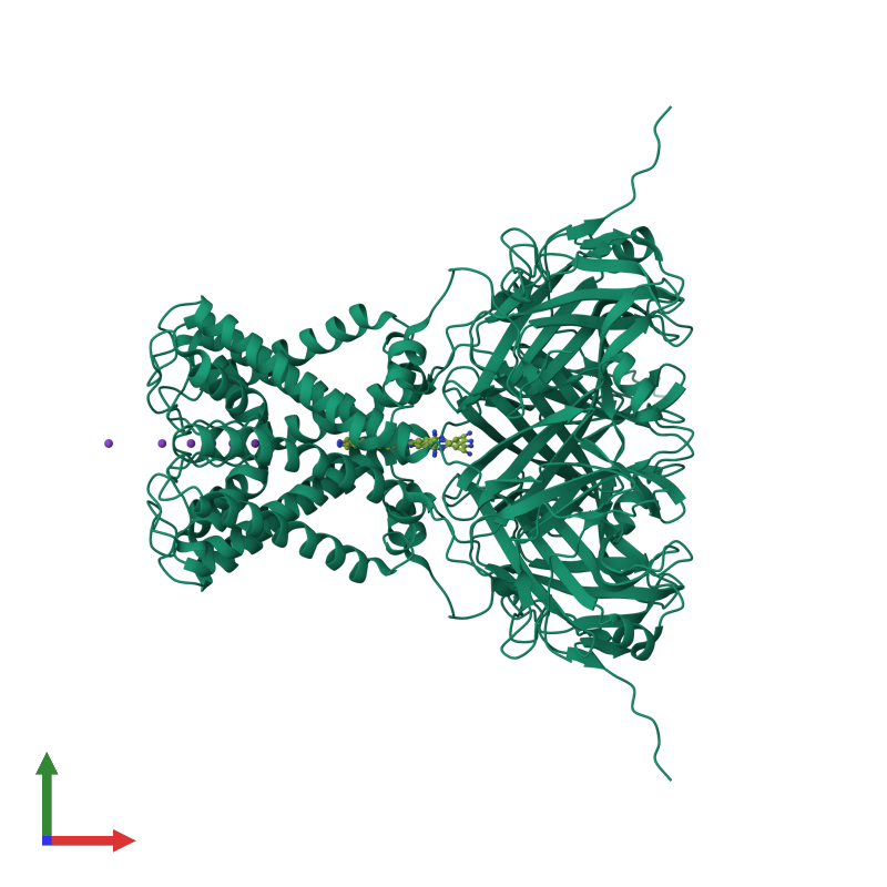 <div class='caption-body'><ul class ='image_legend_ul'> Tetrameric assembly 1 of PDB entry 1xl6 coloured by chemically distinct molecules and viewed from the front. This assembly contains:<li class ='image_legend_li'>4 copies of Inward rectifier potassium channel</li><li class ='image_legend_li'>14 copies of POTASSIUM ION</li><li class ='image_legend_li'>2 copies of MAGNESIUM ION</li><li class ='image_legend_li'>2 copies of SPERMINE</li></ul></div>