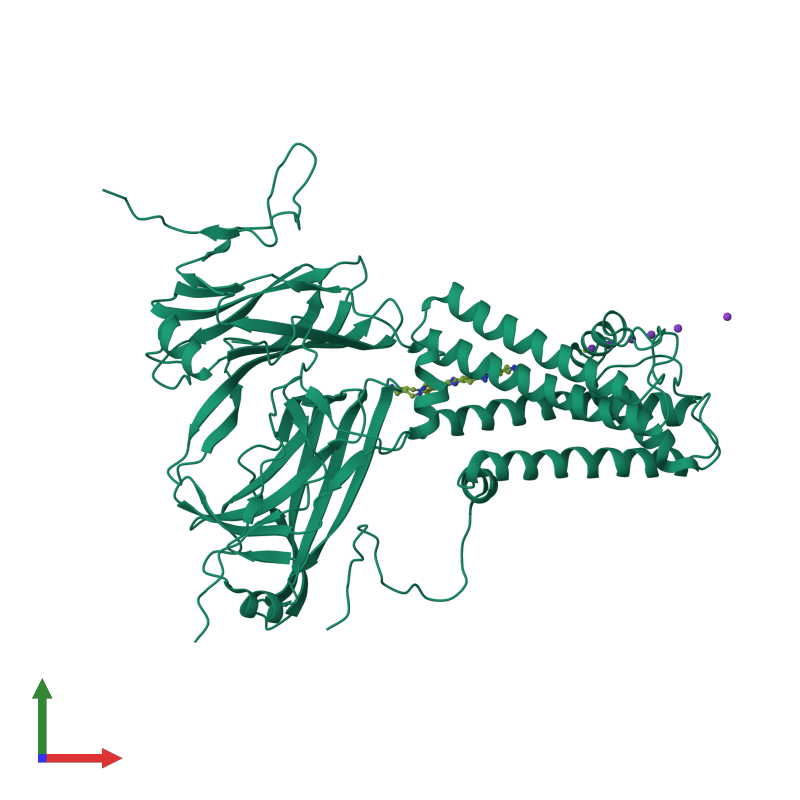 <div class='caption-body'><ul class ='image_legend_ul'>The deposited structure of PDB entry 1xl6 coloured by chemically distinct molecules and viewed from the front. The entry contains: <li class ='image_legend_li'>2 copies of Inward rectifier potassium channel</li><li class ='image_legend_li'>[]<ul class ='image_legend_ul'><li class ='image_legend_li'>7 copies of POTASSIUM ION</li> <li class ='image_legend_li'>1 copy of MAGNESIUM ION</li> <li class ='image_legend_li'>1 copy of SPERMINE</li></ul></li></div>