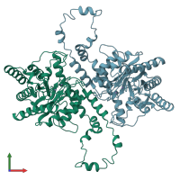 PDB entry 1xle coloured by chain, front view.