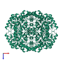 Xylose isomerase in PDB entry 1xlf, assembly 1, top view.