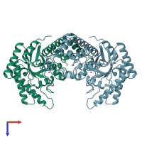 PDB entry 1xli coloured by chain, top view.