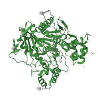 The deposited structure of PDB entry 1xlv contains 1 copy of SCOP domain 53475 (Acetylcholinesterase-like) in Cholinesterase. Showing 1 copy in chain A.
