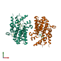 3D model of 1xm4 from PDBe