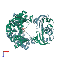 PDB entry 1xml coloured by chain, top view.