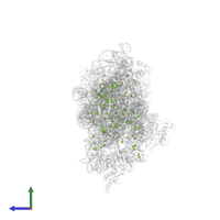 MAGNESIUM ION in PDB entry 1xmo, assembly 1, side view.