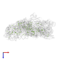 MAGNESIUM ION in PDB entry 1xmo, assembly 1, top view.