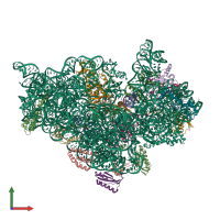 PDB entry 1xmq coloured by chain, front view.