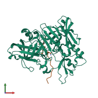 Hetero dimeric assembly 3 of PDB entry 1xn3 coloured by chemically distinct molecules, front view.