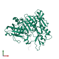 Beta-secretase 1 in PDB entry 1xn3, assembly 3, front view.