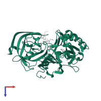 Beta-secretase 1 in PDB entry 1xn3, assembly 3, top view.