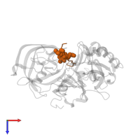 Peptidic inhibitor in PDB entry 1xn3, assembly 3, top view.