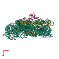 PDB entry 1xnq coloured by chain, top view.