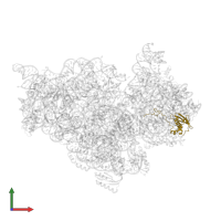 Small ribosomal subunit protein uS9 in PDB entry 1xnq, assembly 1, front view.