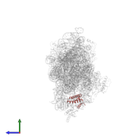 Small ribosomal subunit protein uS15 in PDB entry 1xnq, assembly 1, side view.