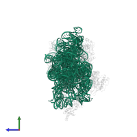 16S ribosomal RNA in PDB entry 1xnr, assembly 1, side view.