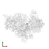 Messenger RNA in PDB entry 1xnr, assembly 1, front view.