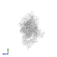 Messenger RNA in PDB entry 1xnr, assembly 1, side view.