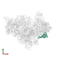 Small ribosomal subunit protein uS7 in PDB entry 1xnr, assembly 1, front view.