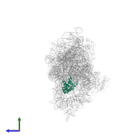 Small ribosomal subunit protein uS7 in PDB entry 1xnr, assembly 1, side view.
