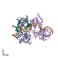 PDB entry 1xns coloured by chain, front view.