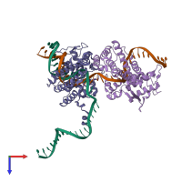 PDB entry 1xns coloured by chain, top view.