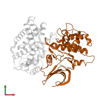 Cyclin-dependent kinase 6 in PDB entry 1xo2, assembly 1, front view.