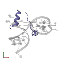 Capsid protein in PDB entry 1xok, assembly 1, front view.