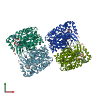 PDB entry 1xpm coloured by chain, front view.