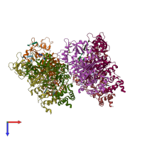 PDB entry 1xpo coloured by chain, top view.