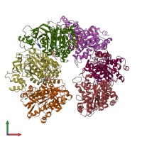 3D model of 1xpr from PDBe